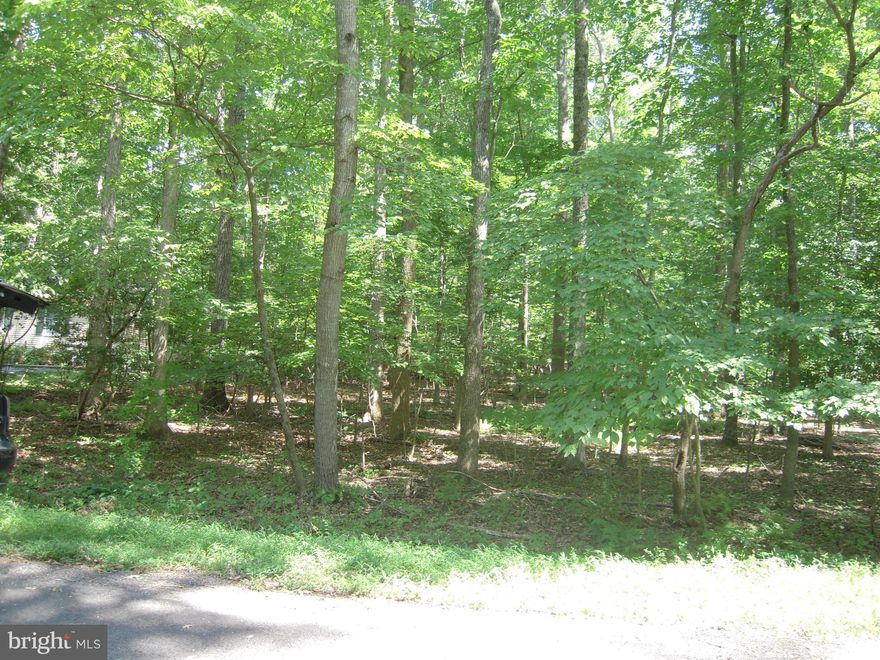 Large, lot (over a half acre) located Small Lake Area. Build your dream home on this flat-treed lot with privacy in an amenity-filled Lake and Golf Gated Community at Lake of the Woods. Low property taxes, public utilities and lots of amenity perks including two Lakes,18-hole PGA Golf Course, Clubhouse overlooking Lake, several beaches, two pools, fitness center, and more with fun for the entire family. If you haven't already, taken a tour of Lake of the Woods come to discover our best kept secret located conveniently between Washington DC and Richmond..