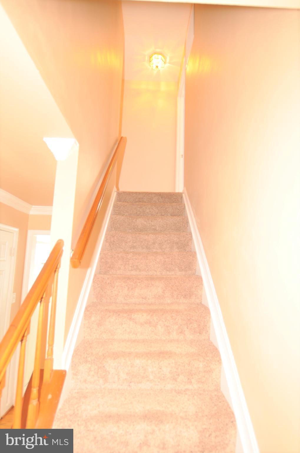 EUTAW FOREST - Residential