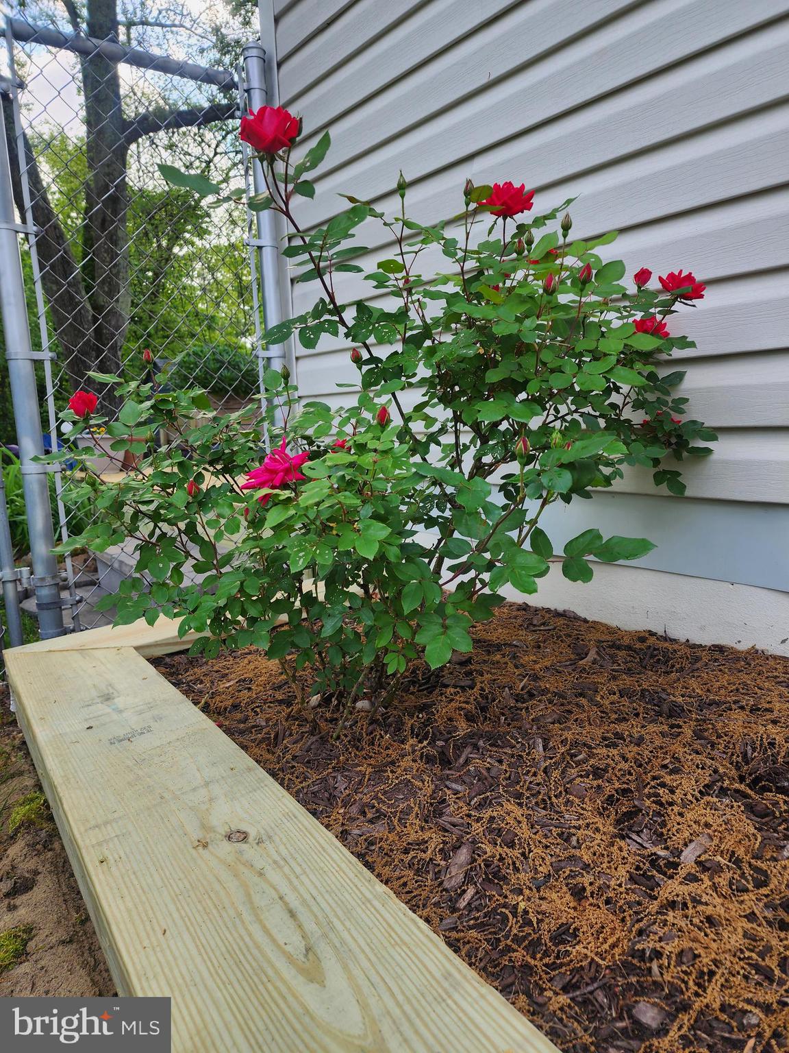 BOULEVARD PARK - Residential