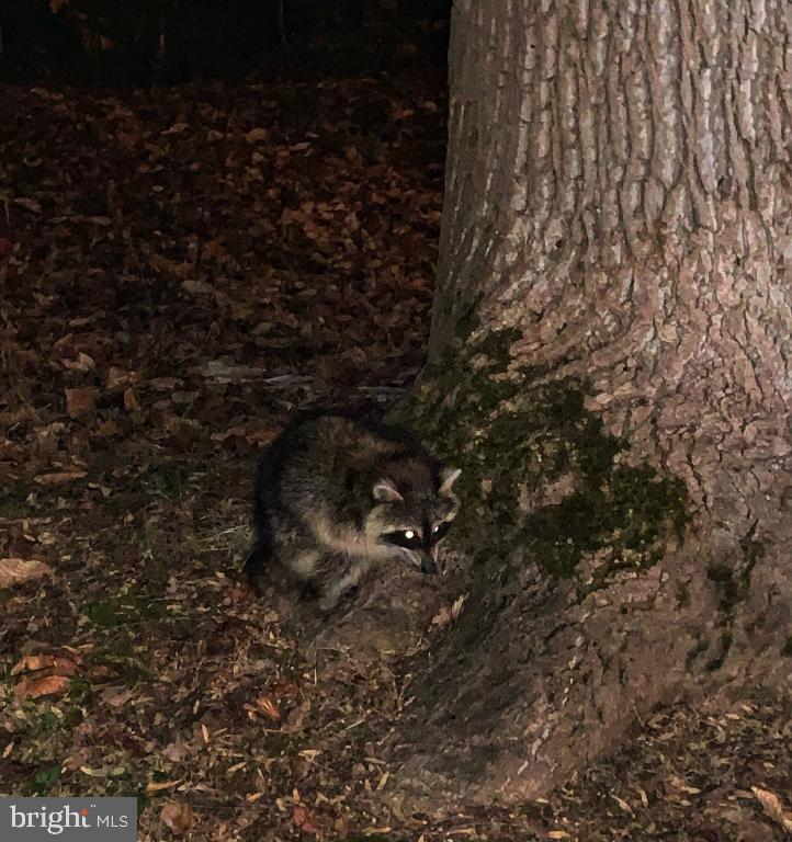 DEVEREUX STATION - Residential