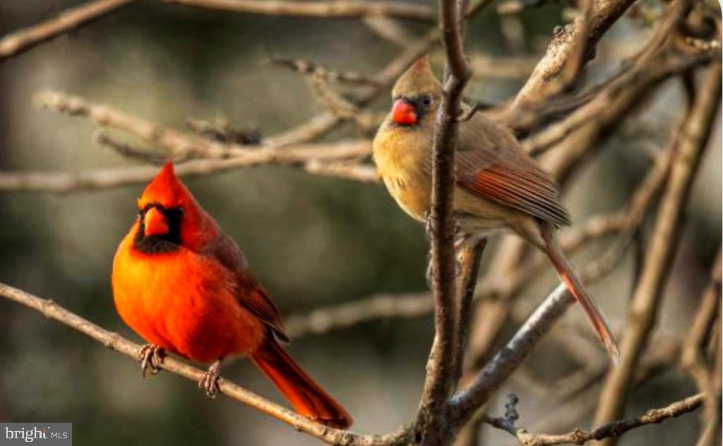 DEVEREUX STATION - Residential