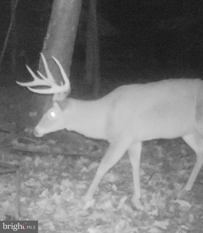 DEVEREUX STATION - Residential