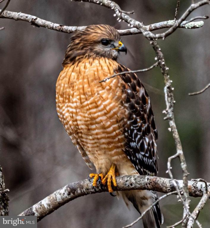 DEVEREUX STATION - Residential