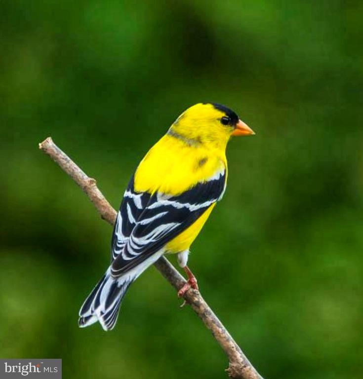 DEVEREUX STATION - Residential