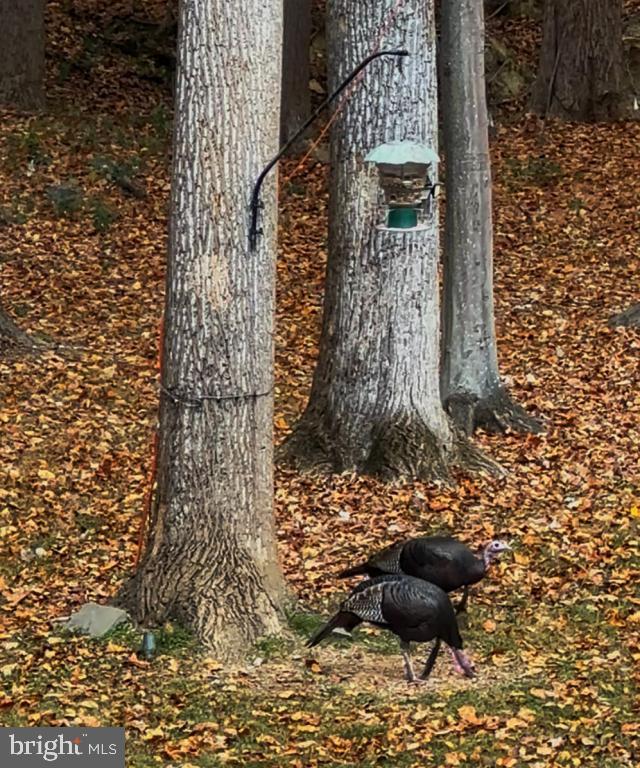 DEVEREUX STATION - Residential