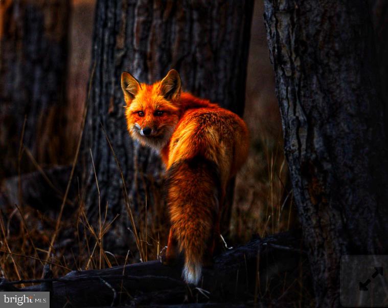 DEVEREUX STATION - Residential