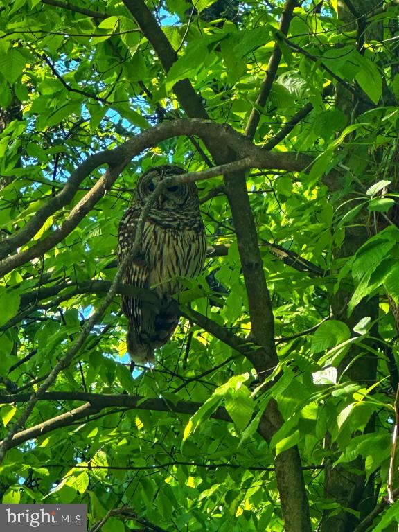 DEVEREUX STATION - Residential