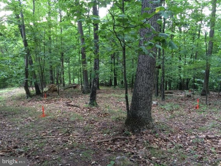 6 unrestricted acres with mountain views.  Situated off Swiming Bridge Road, property is improved with a driveway and a storage shed, ready for camping or building your vacation or full time home.  Land has been perc tested for a 1 bedroom home.