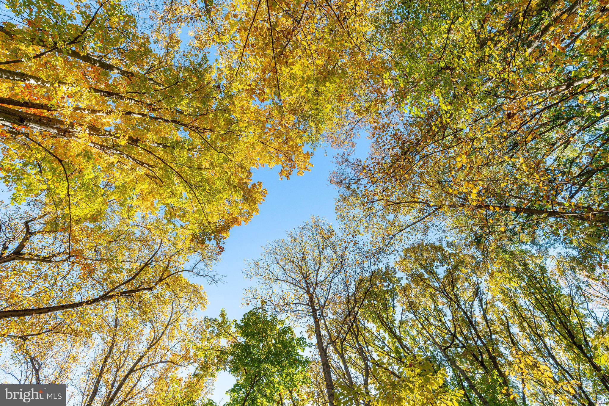LAFAYETTE HILL - Residential
