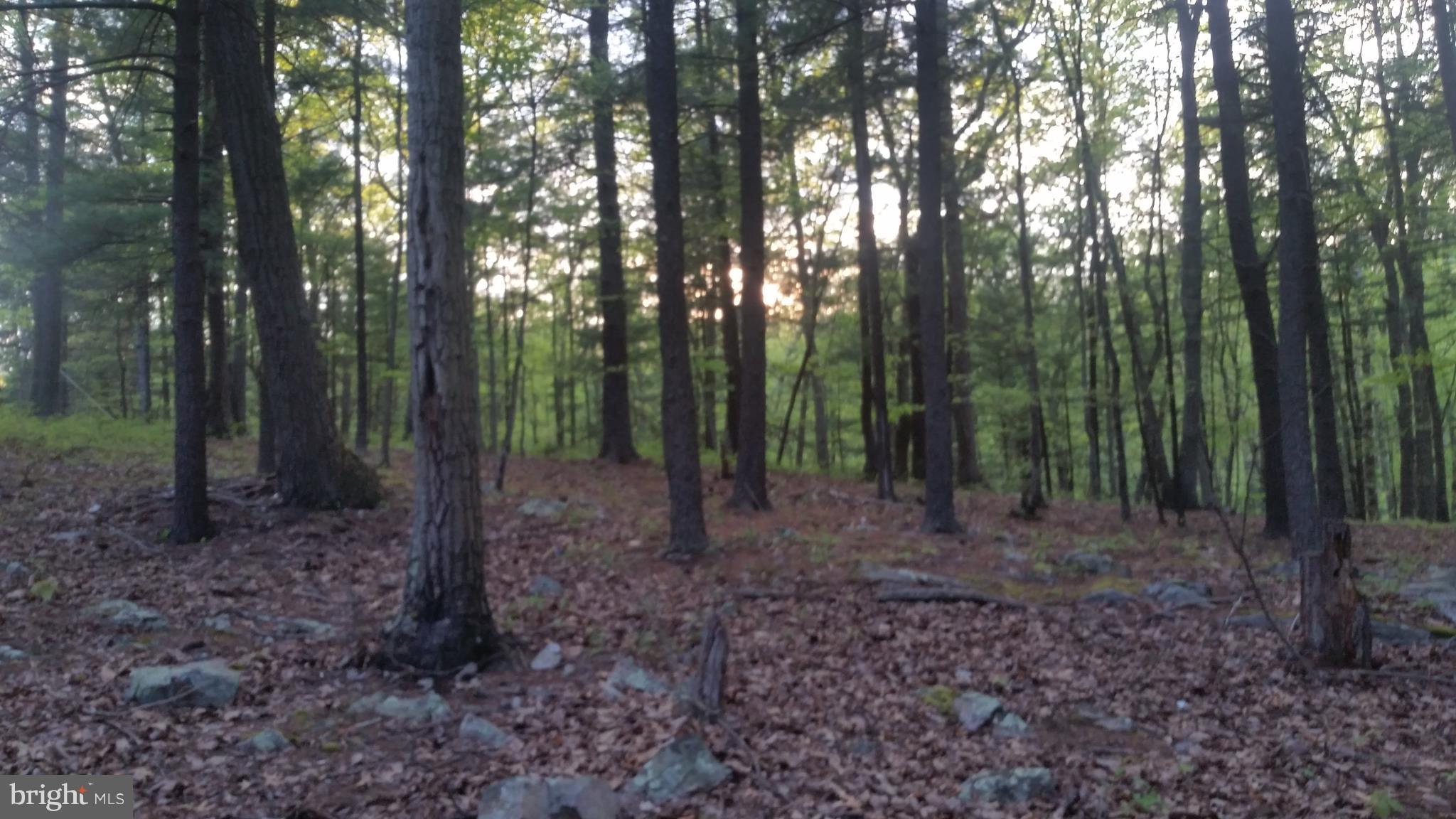 CACAPON RIVER RAPIDS - Residential