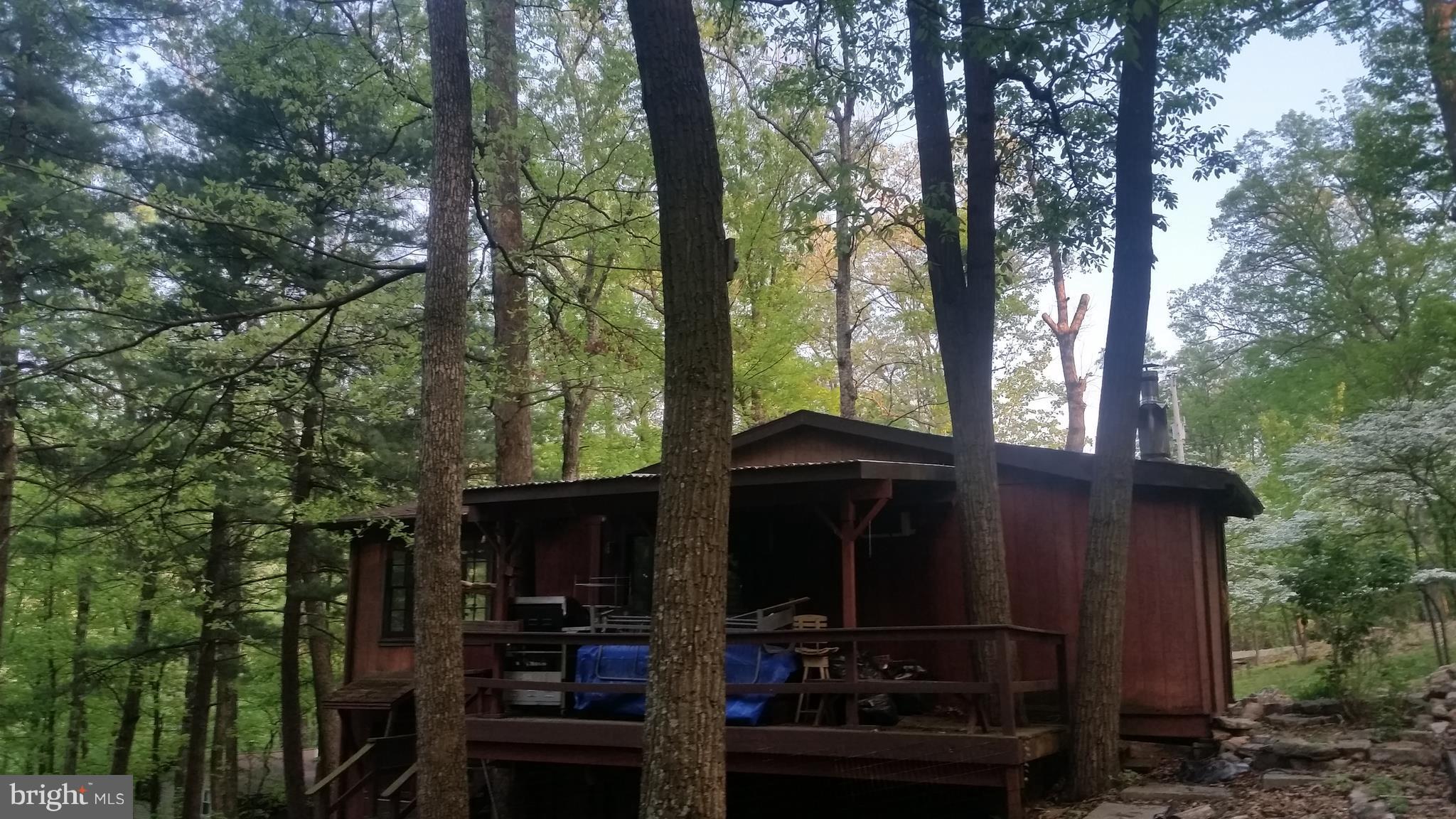 CACAPON RIVER RAPIDS - Residential