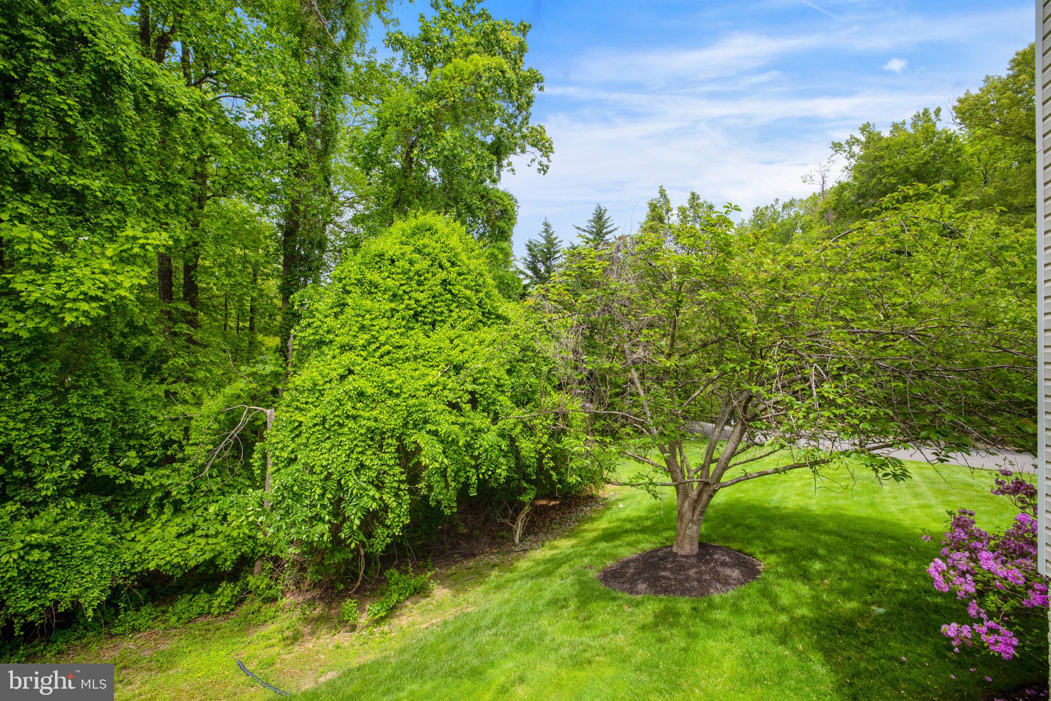 CALTOR MANOR - Residential