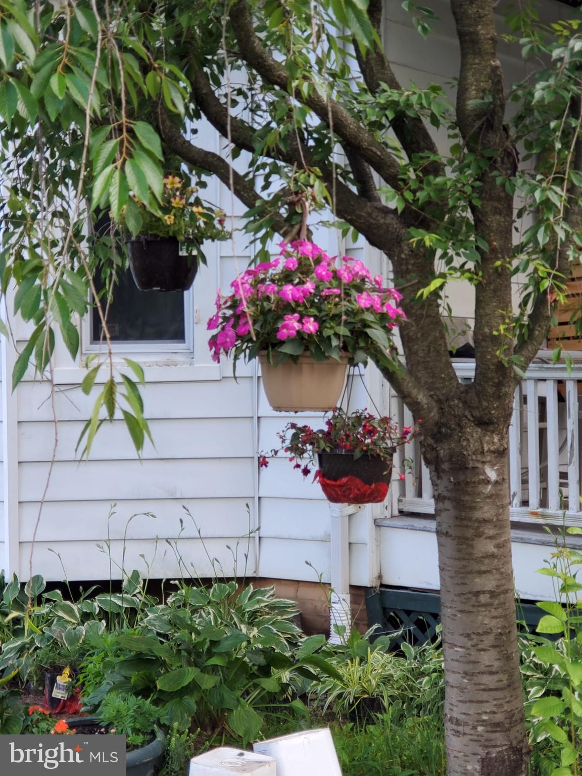 HAMILTON HEIGHTS - Residential