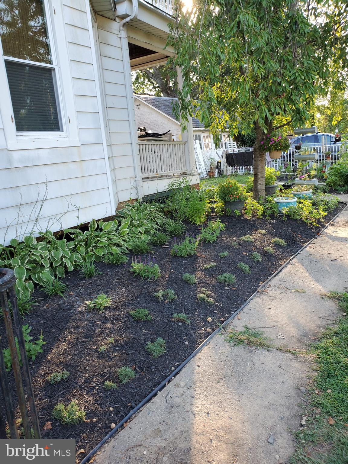HAMILTON HEIGHTS - Residential