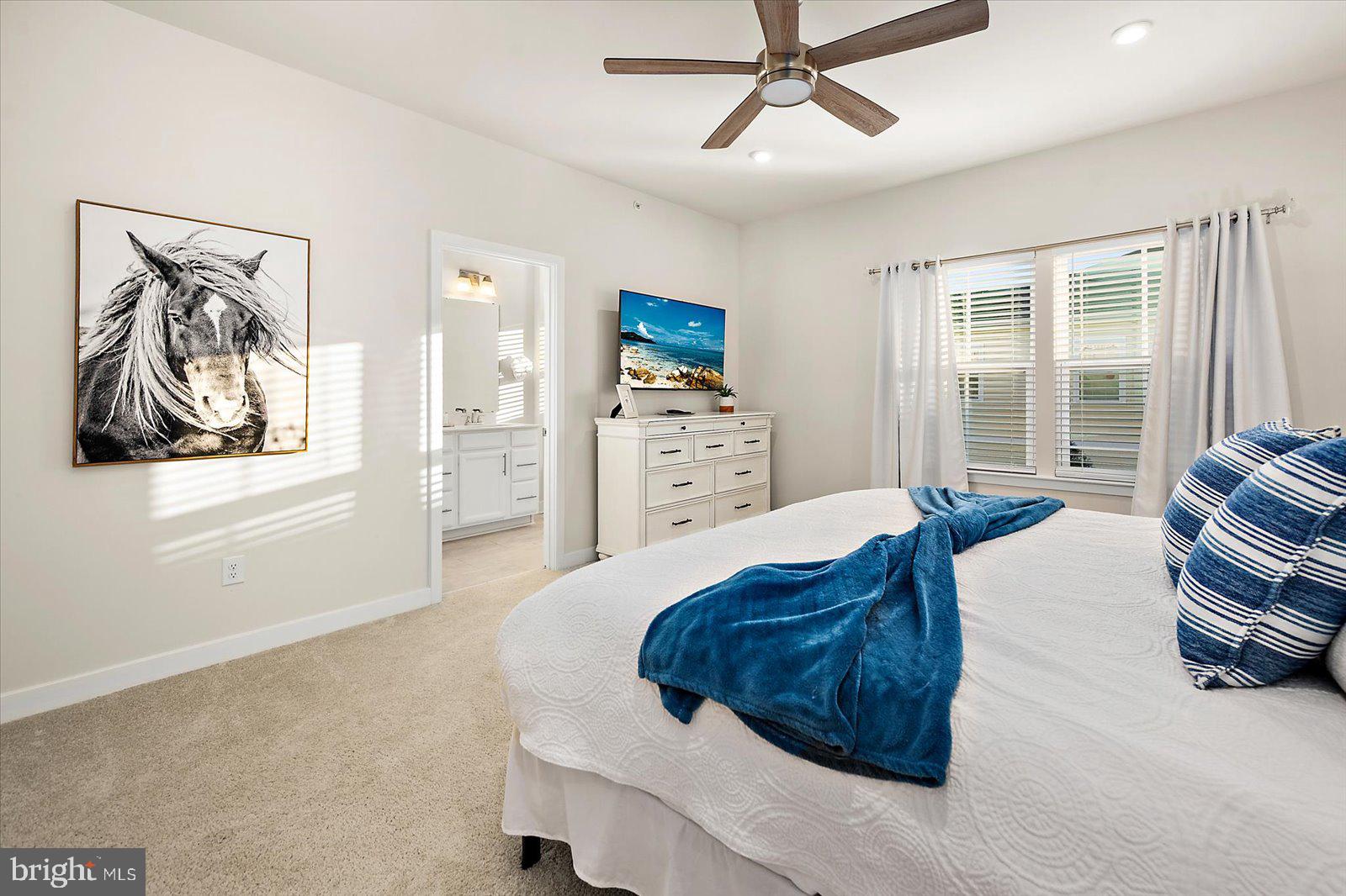 BAYSIDE - Residential