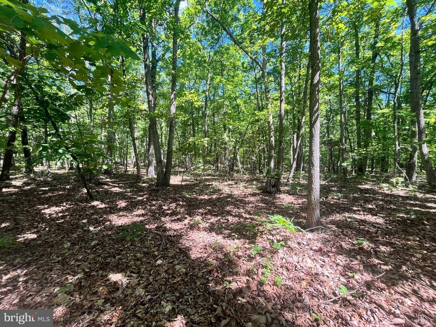 Nestled within a serene wooded landscape, this 2.33-acre parcel of land offers a tranquil retreat away from the hustle and bustle of city life. The property offers a level terrain, providing a great setting for your dream home. Located just 25 minutes from Interstate 95 and with many shopping and dining options, this lot offers the perfect blend of seclusion and accessibility, where everything you need is within easy reach.  With no  HOA you have the freedom to customize and enjoy your property to your heart's content, without the constraints of restrictive regulations.  With Interstate 66 only 35 minutes away, commuting to neighboring cities or weekend getaways is convenient and hassle-free. You will not want to miss this. Previous perc and plat are available upon request. The lot has been marked along property lines for ease.  Please call the listing agent with any questions, The lot is right between 12615 Elk Run Rd. and 12613 Elk Run Rd. Sign on property. The property is flagged around lot lines.