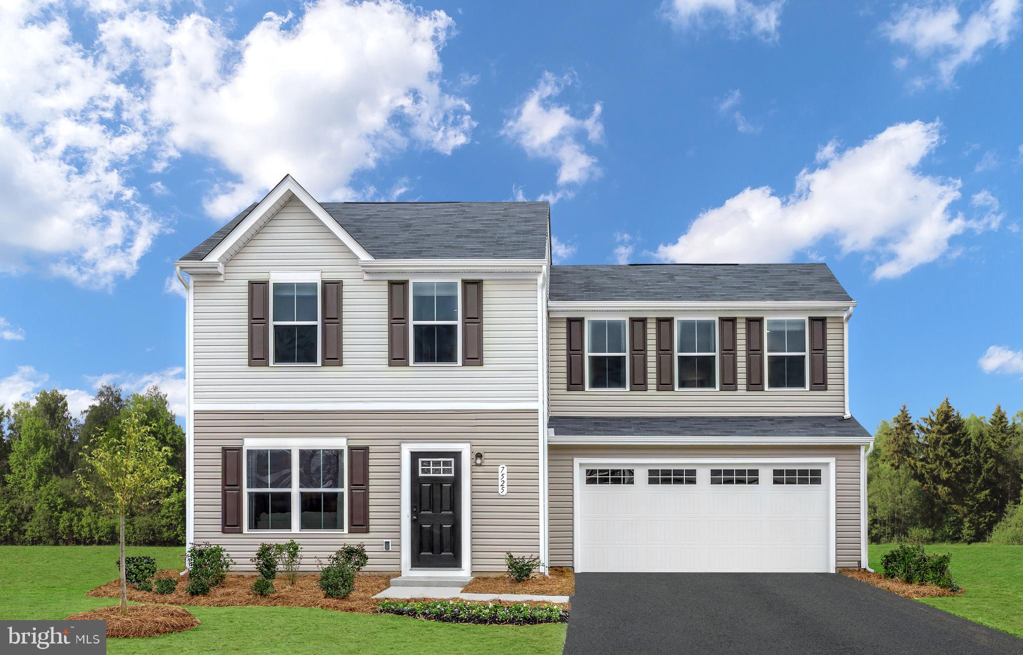 CHESTNUT RIDGE - Residential