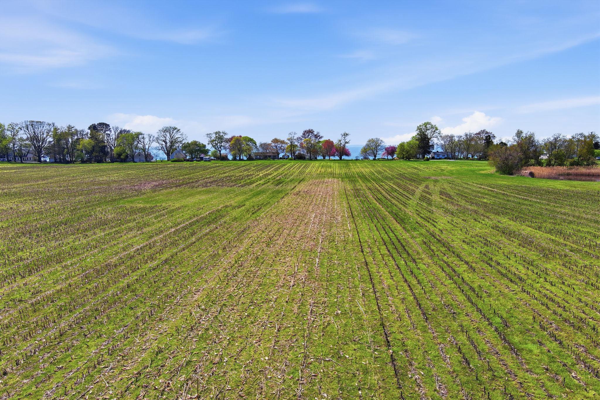 KENT COUNTY - Residential