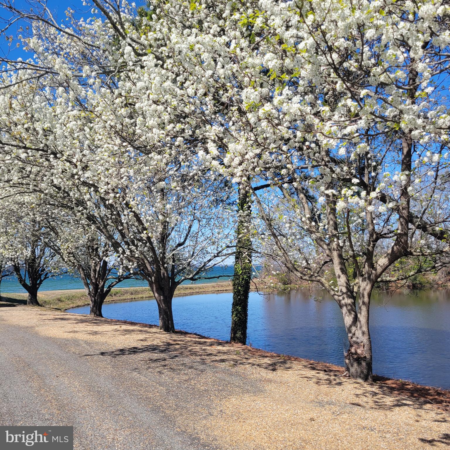 RIVERS LANDING - Residential