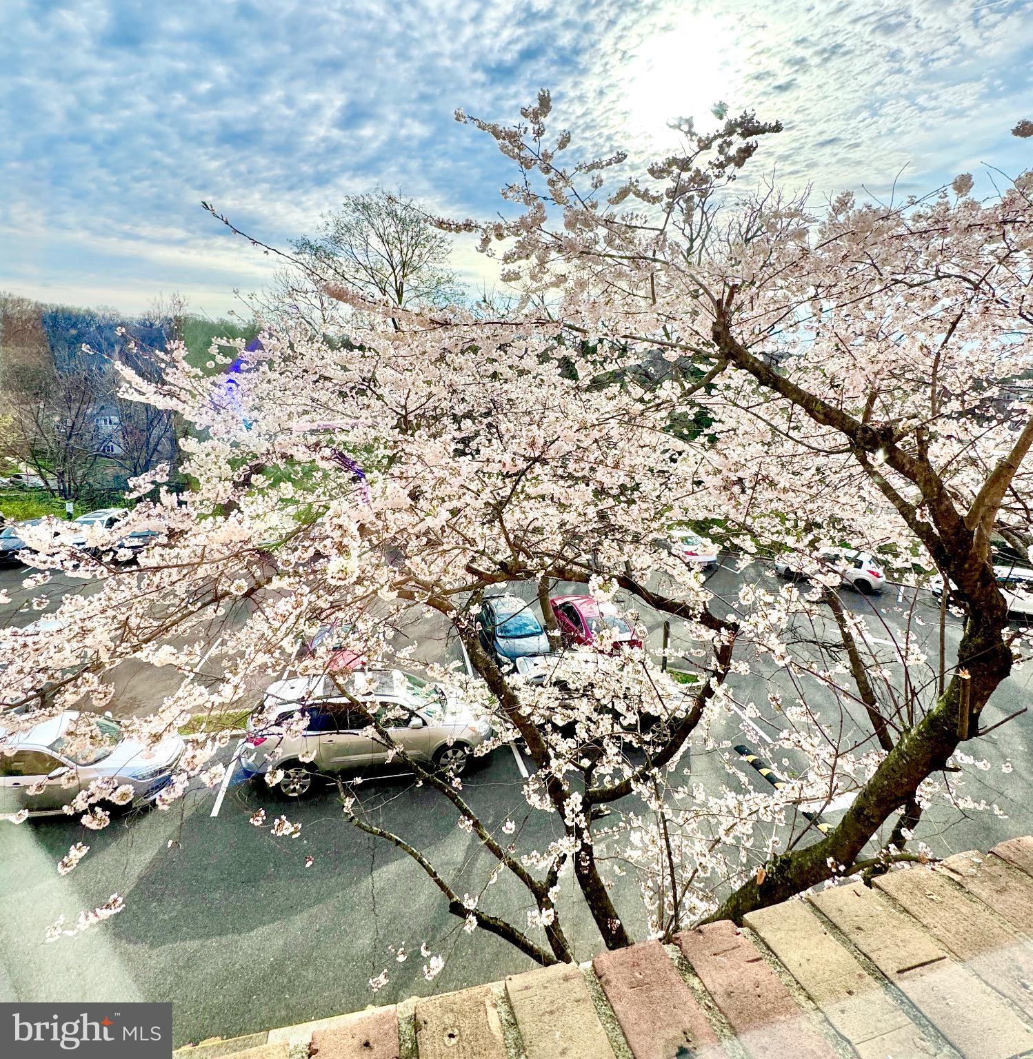 COLUMBIA KNOLL - Residential