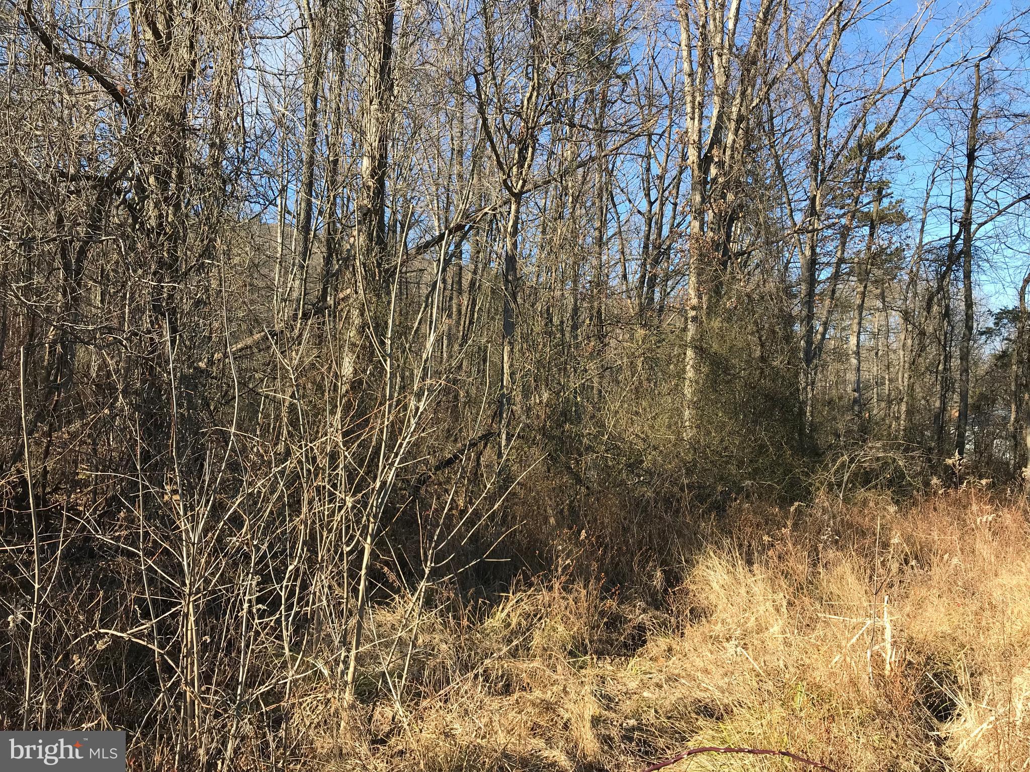Unrestricted lot with US522 Road frontage. Driveway entrance permit from the DOH on hand. Many possibilities and opportunities with this lot. Very level and currently wooded. Would make a nice buildable lot for a home or business. A must see!