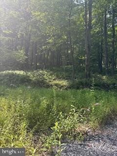 Lots 1,2,3 FIVE FORKS LANE