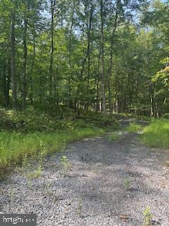 Lots 1,2,3 FIVE FORKS LANE