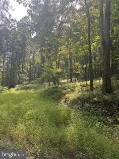 Lots 1,2,3 FIVE FORKS LANE