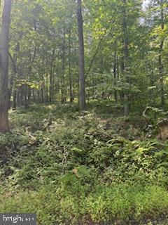 Lots 1,2,3 FIVE FORKS LANE