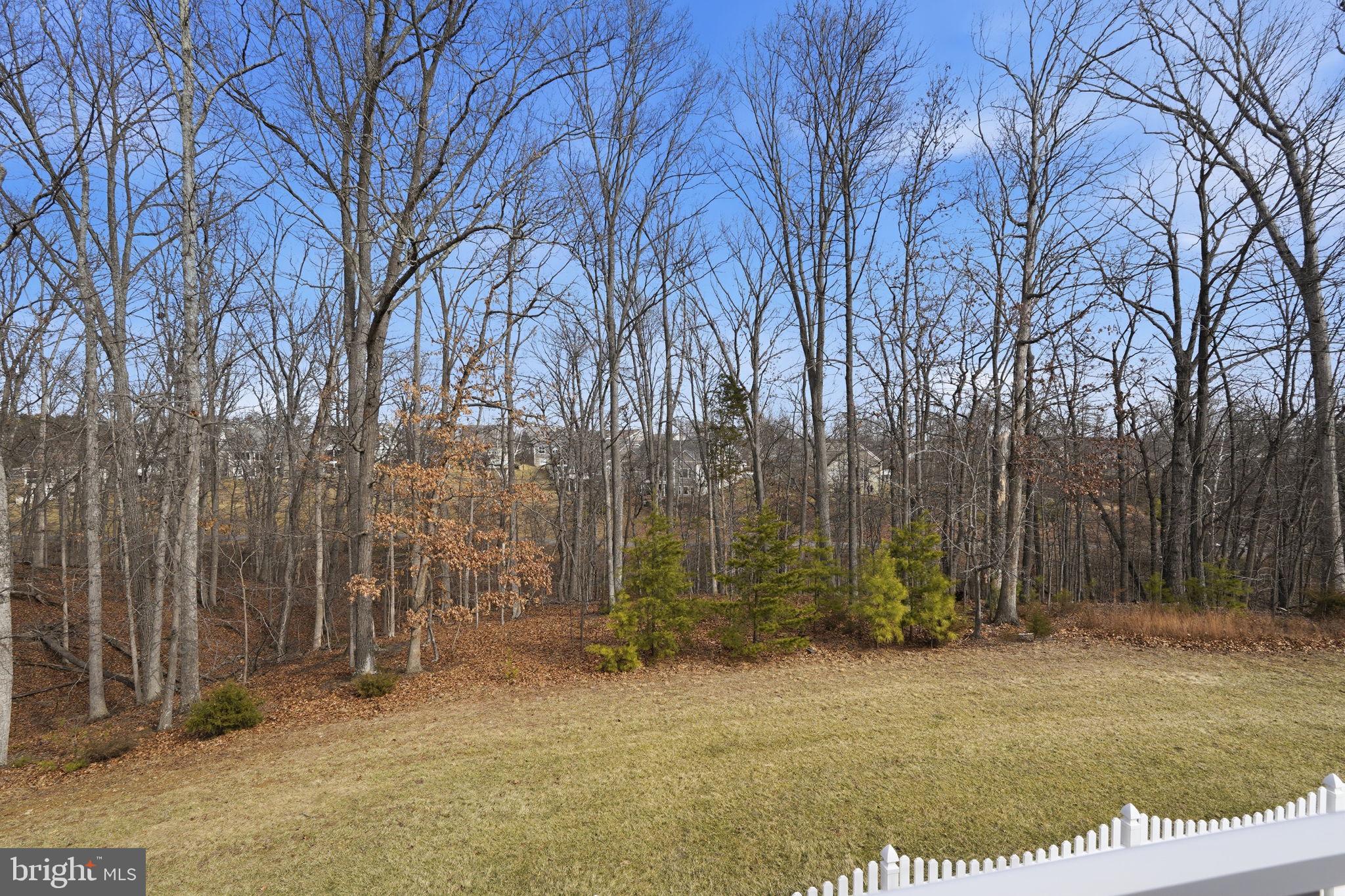 SHENANDOAH - Residential