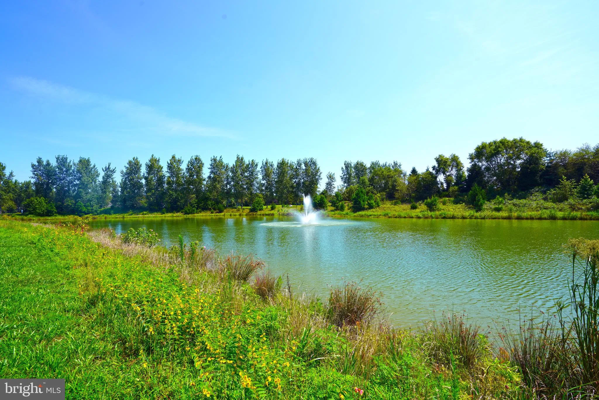 Millsboro, Delaware 19966, United States, 3 Bedrooms Bedrooms, ,2 BathroomsBathrooms,Residential,Active,185090