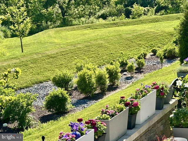 9247 BEALLS FARM ROAD