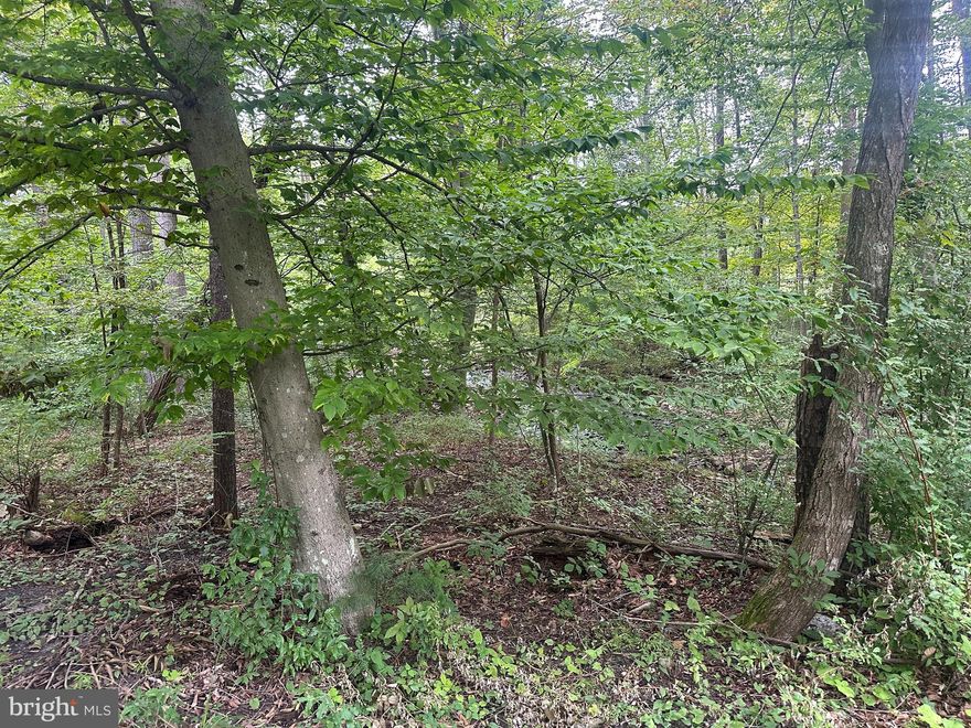 Escape to the southern end of Cedar Creek with this 3.102± acre recreational lot offering approximately 600 feet of beautiful creek frontage. Nestled in a peaceful, wooded setting, this property is ideal for nature lovers seeking a private retreat for camping, fishing, or simply enjoying the outdoors. While the majority of the lot lies within the floodplain—making it unsuitable for traditional residential development—it presents an excellent opportunity for recreational use or land investment. The parcel is easily accessible and offers a quiet escape surrounded by natural beauty and abundant wildlife. Property is also near National Forest,