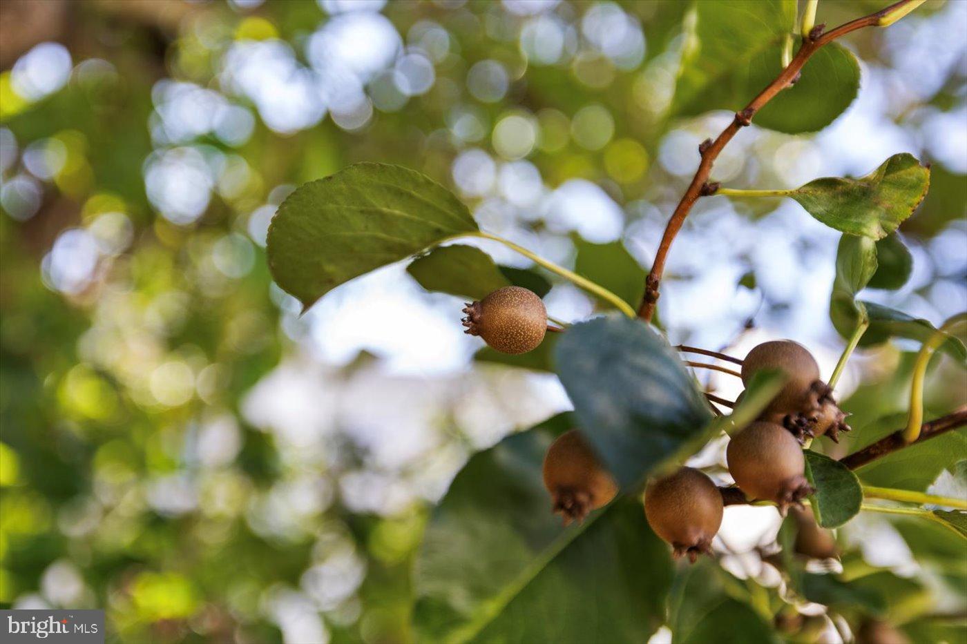 BRECKENRIDGE - Residential