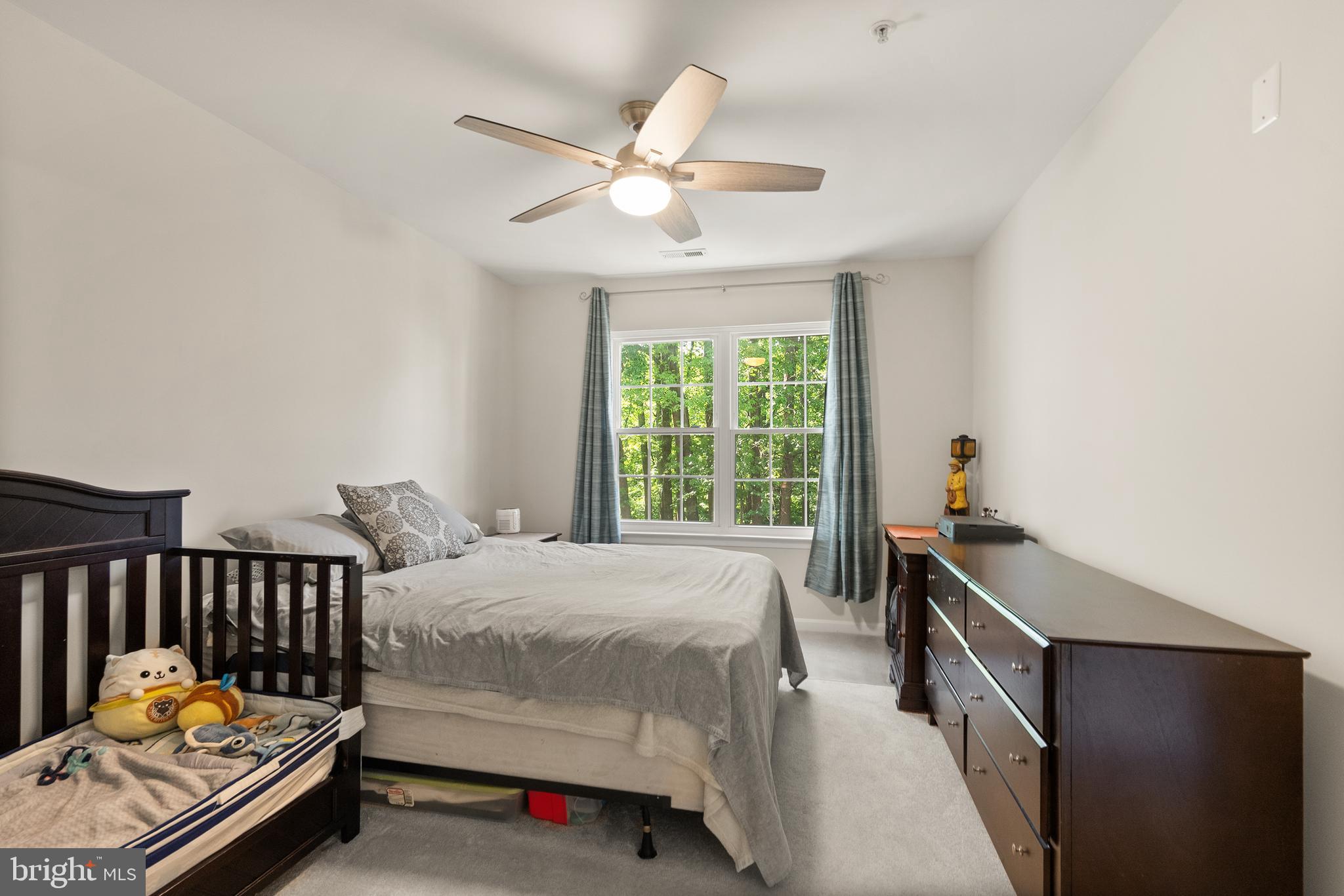 CEDAR LAKES - Residential