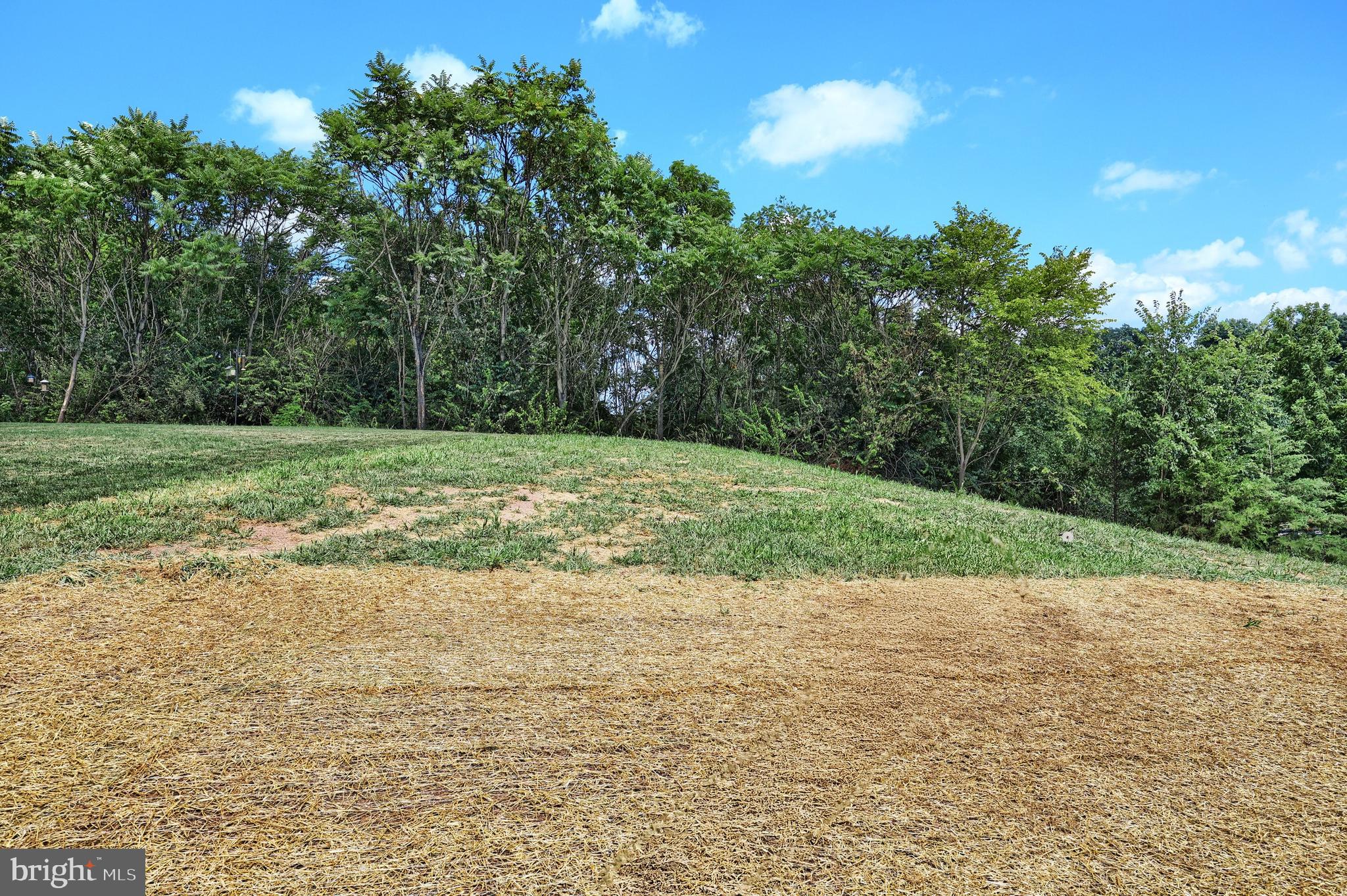 THE FIELDS AT HAMPTON HEIGHTS - Residential