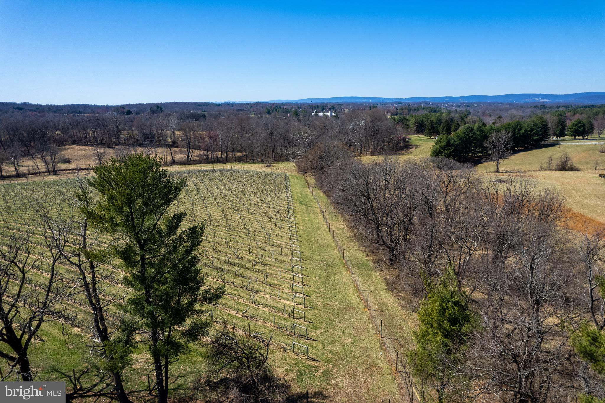 39892 HEDGELAND LANE