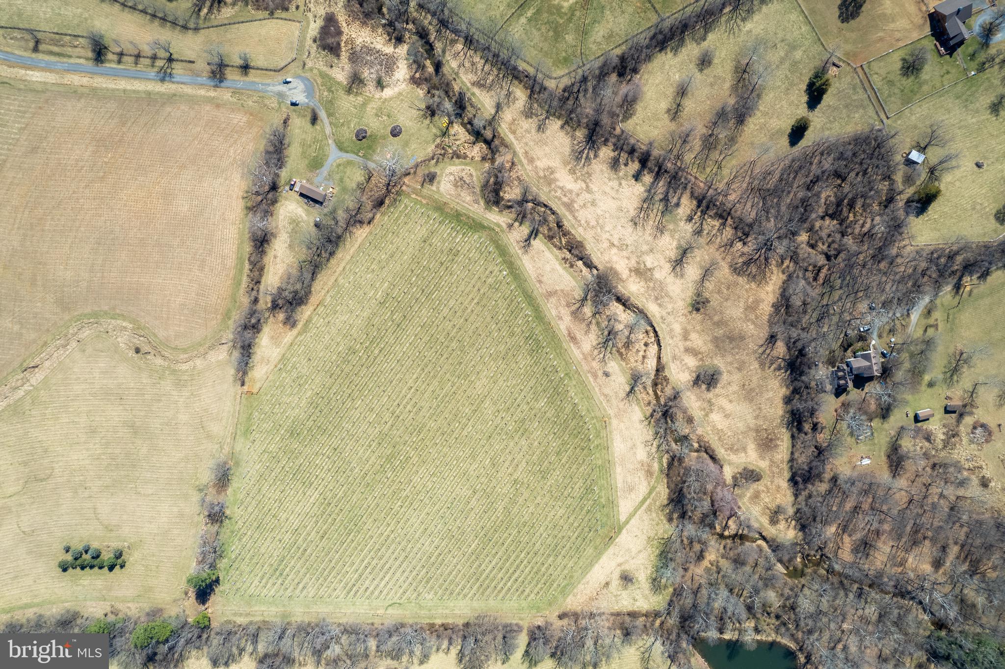 39892 HEDGELAND LANE