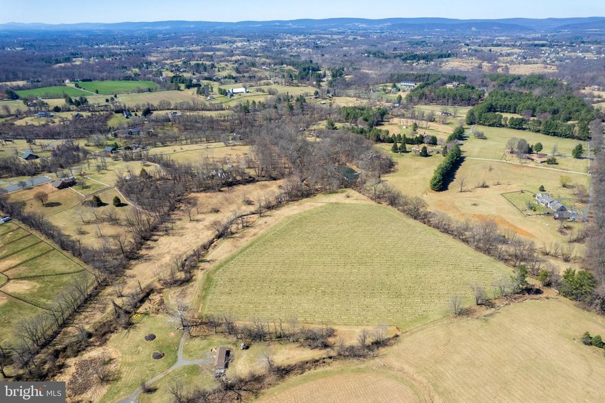 Over 22 acres offering country living with spacious views amid serene surroundings only 5 miles from downtown Leesburg. Located in a private equestrian community with rights to ride not only on your own property but also on deeded equestrian trails located throughout the community's 250+ acres. Property is in Permanent Open Space Easement, has 6.78 acres in flood plain and 8.8 acres under cultivation with an award-winning vineyard. Owner's commitment to the vintner is through 2025 harvest. Buy now, then build when the vineyard commitment expires, or combine with VALO2080162 to create a truly magnificent equestrian farm / vineyard combination located just minutes from major commuter arteries. A truly unique opportunity. Vineyard acreage measured from Google Earth.