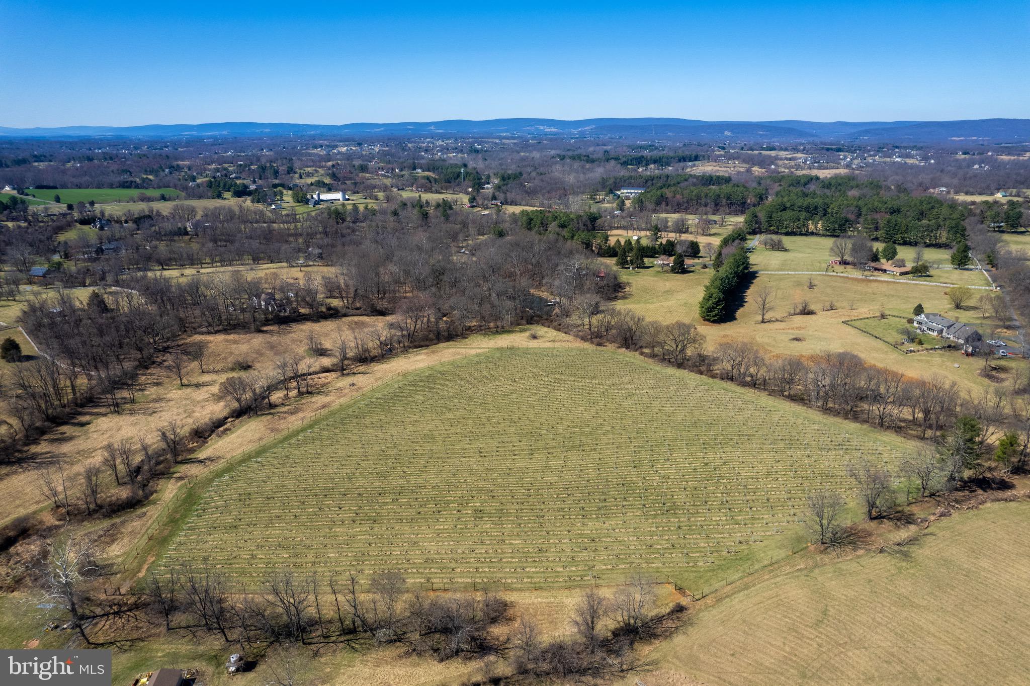 39892 HEDGELAND LANE