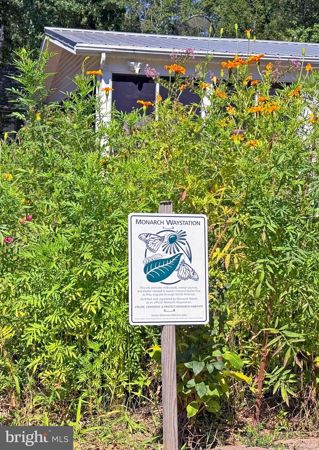 SHADYDELL PARK - Residential