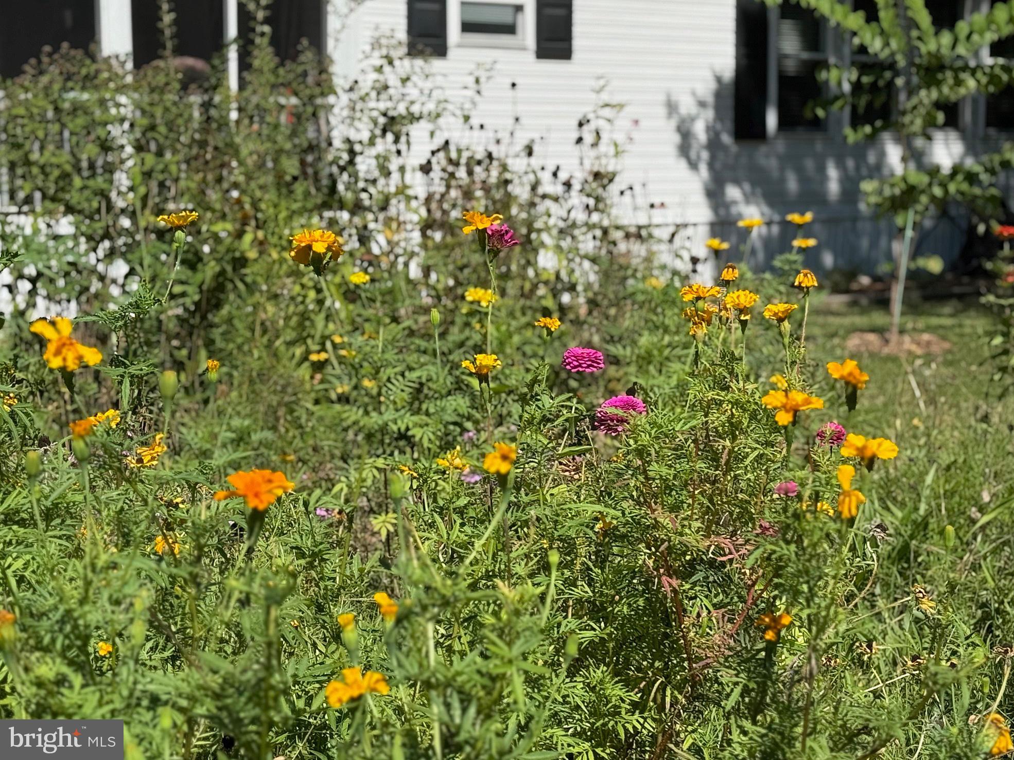 SHADYDELL PARK - Residential
