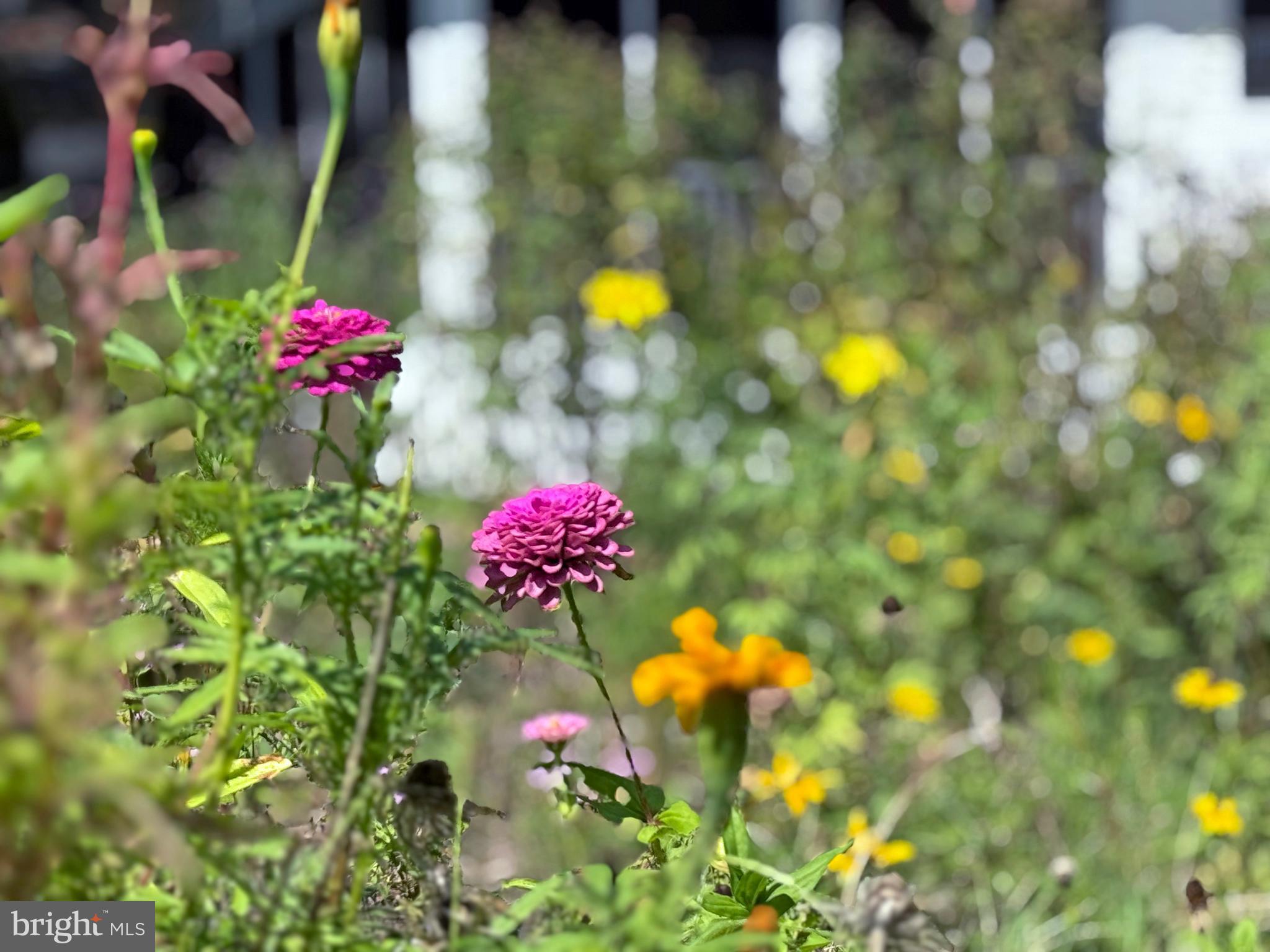 SHADYDELL PARK - Residential