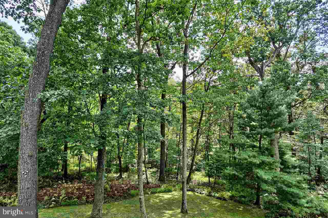 ARLINGTON PARK - Residential