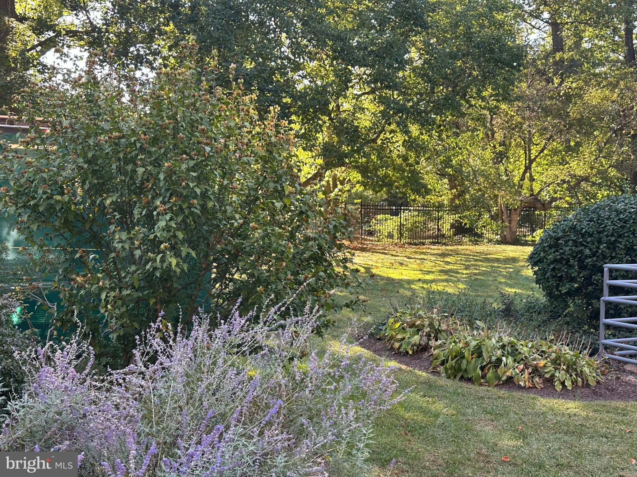 LATCHS LANE - Residential