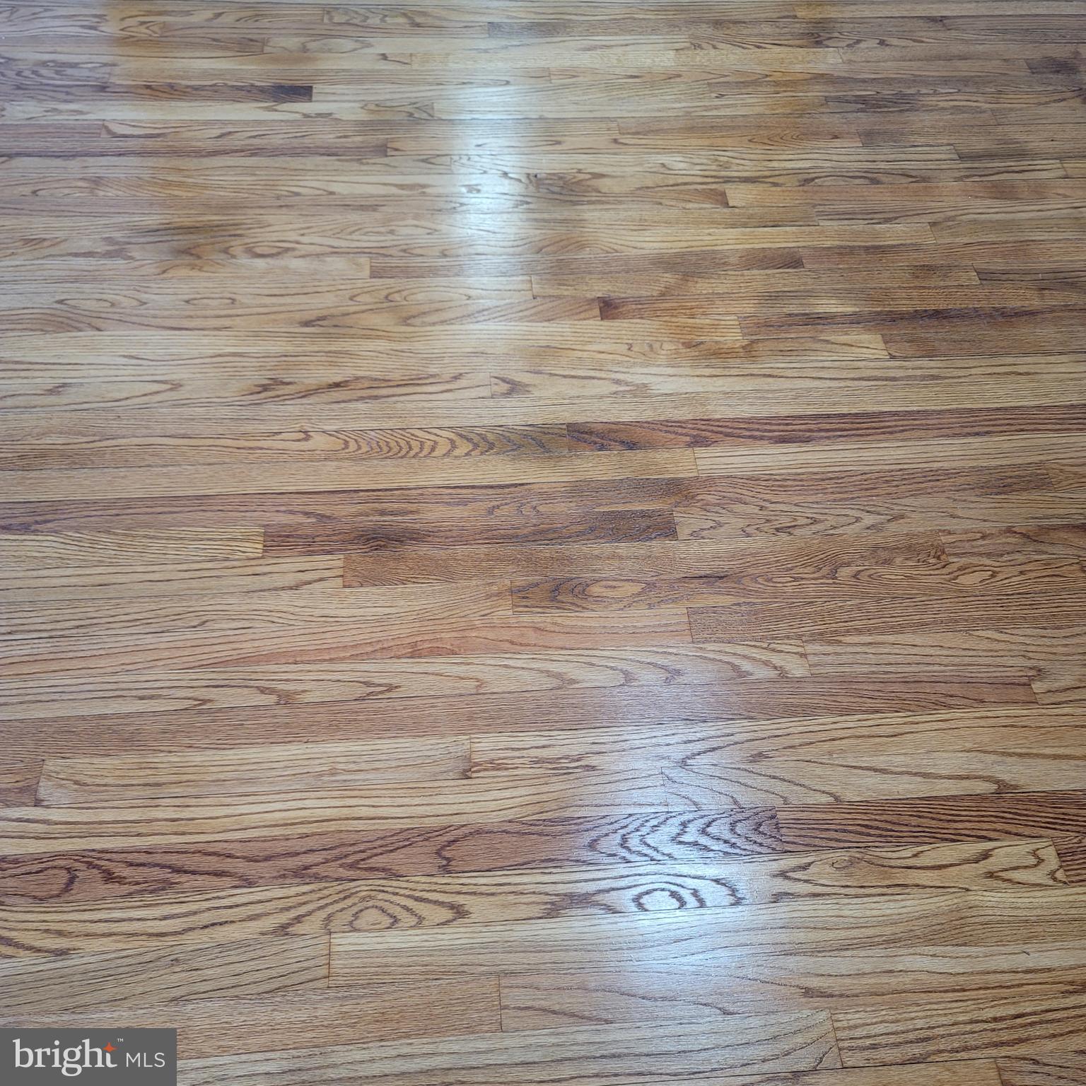 MORAVIA PARK - Residential