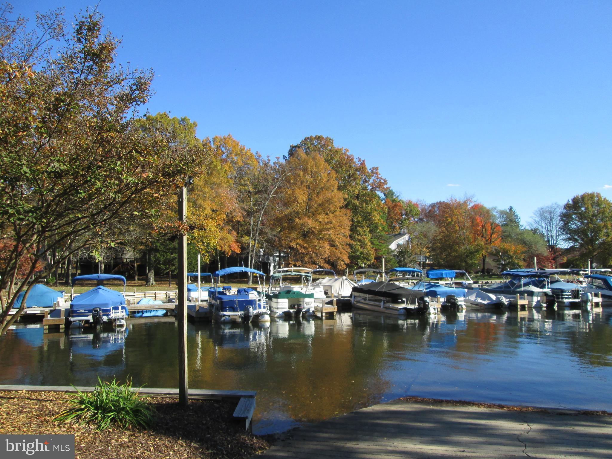 LAKE OF THE WOODS - Land