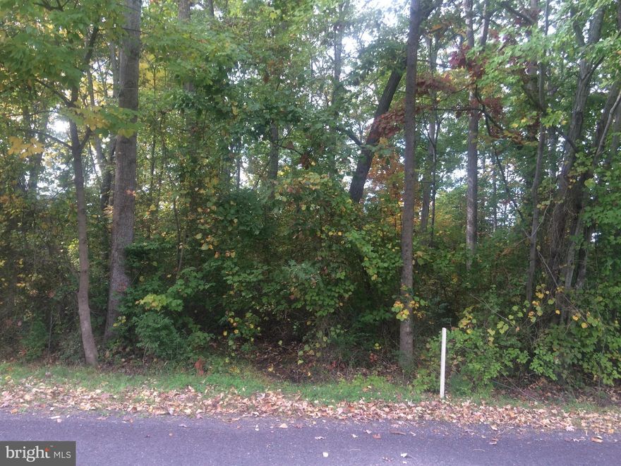 Build your dream home on a quiet street in Lake of the Woods, a gated community. Priced to sell come check out this level, wooded building lot. Lake recreation for boating, fishing, and swimming! Fine dining at the Clubhouse with a beautiful view, Community Center, LOW Church, parks with playgrounds and picnic areas, Golf, Pools, Exercise, Stables, Tennis, Basketball, Soccer, and more.