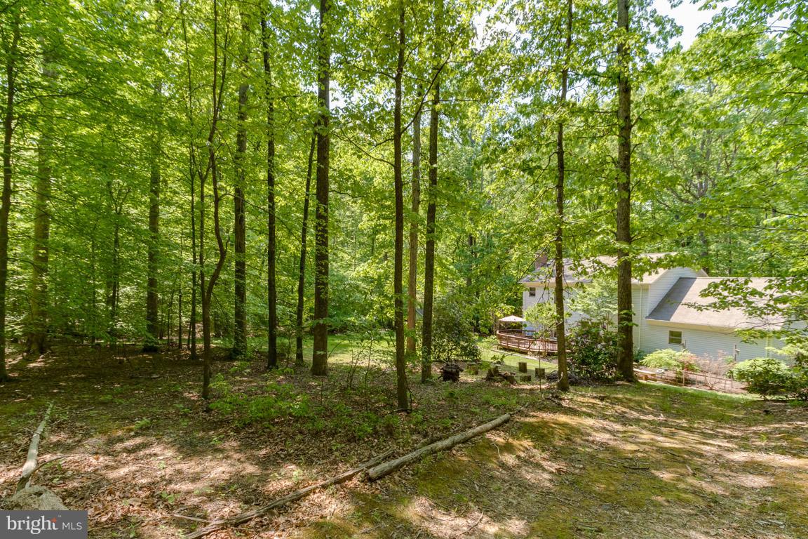 FOREST HILLS - Residential