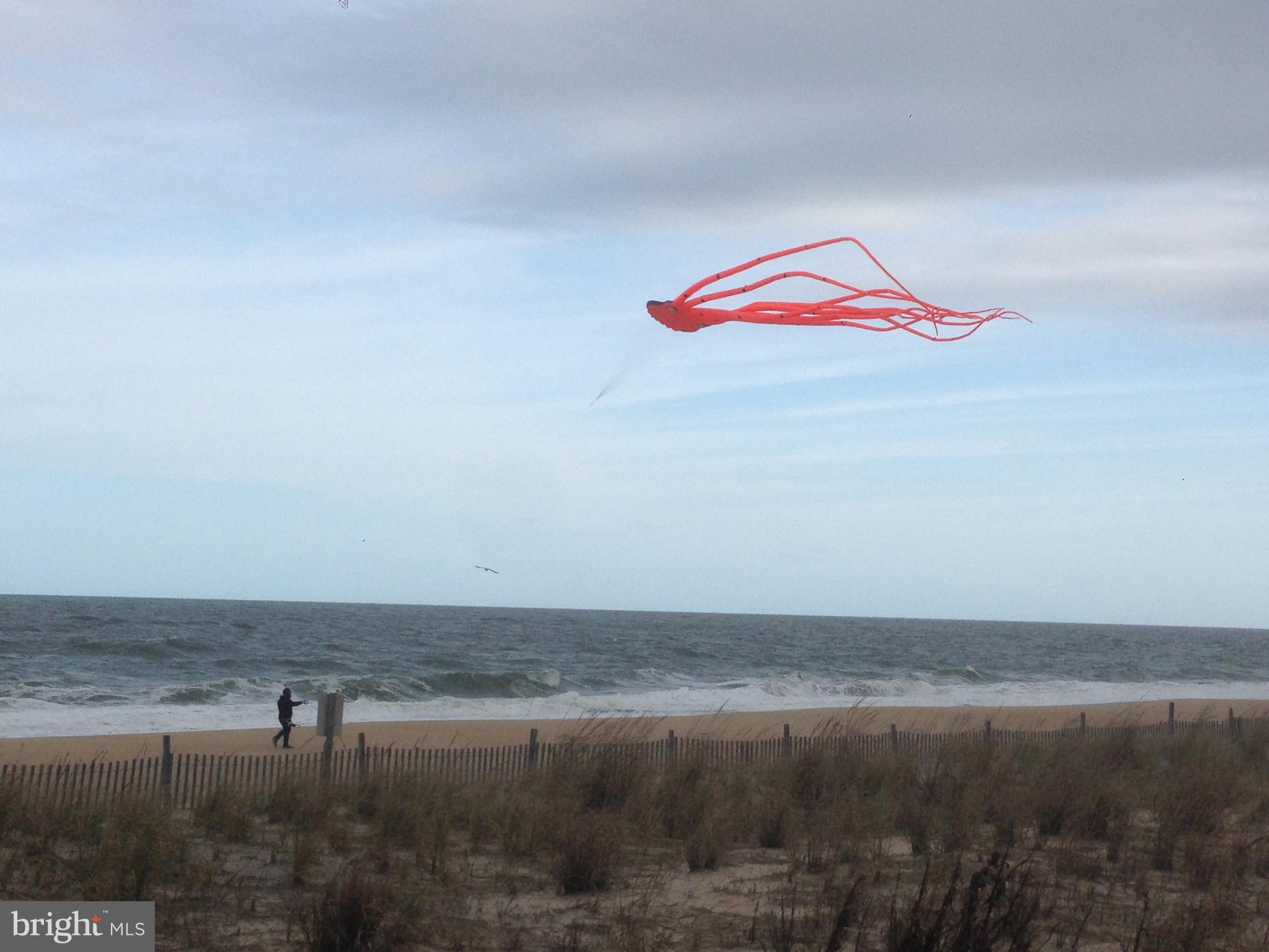 CAPE SHORES - Residential